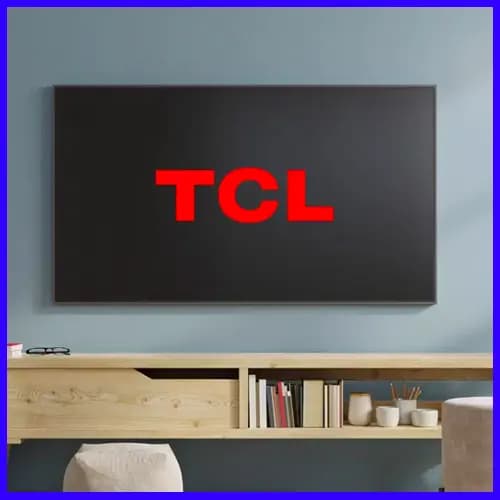TCL eyes bigger India play with stake sale plan