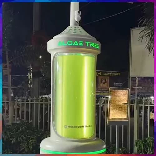 Bhopal gets India’s first ‘Algae Tree’ that cleans air like 25 real trees