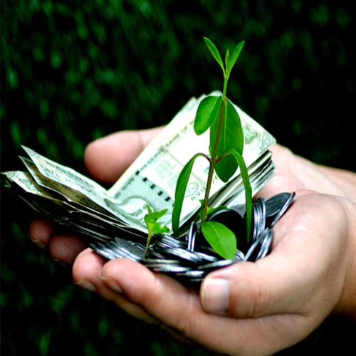 Mate Labs raises $550,000 in seed funding