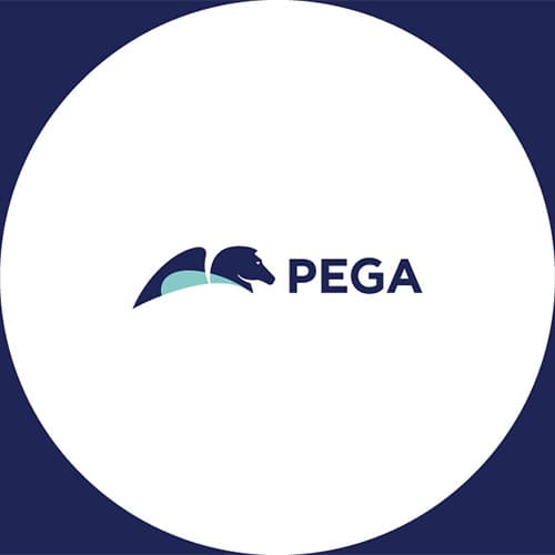 Pega launches ‘Infinity '25’, the industry’s first AI-powered agentic enterprise transformation platform