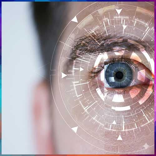 Trust Before AI