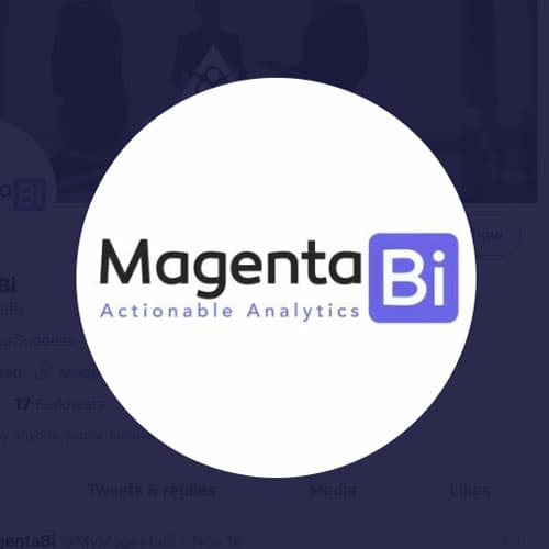 Magenta BI bags Rs 60 Lacs in Seed Funding from Angel Investors